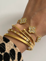 CARINA BANGLE